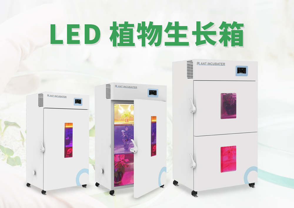 being重庆时时开彩官方网站-时时采彩计划软件-重庆时时开彩官网开奖查询-重庆时时开彩app下载-重庆时时采彩开奖号码走势图-重庆时时投注平台官网 植物生长箱 being重庆时时开彩官方网站-时时采彩计划软件-重庆时时开彩官网开奖查询-重庆时时开彩app下载-重庆时时采彩开奖号码走势图-重庆时时投注平台官网 植物生长箱