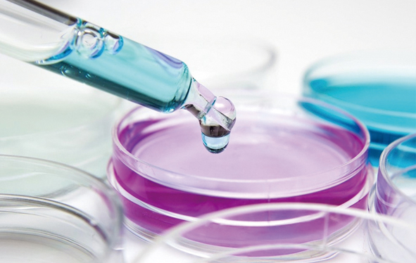 being 重庆时时开彩官方网站-时时采彩计划软件-重庆时时开彩官网开奖查询-重庆时时开彩app下载-重庆时时采彩开奖号码走势图-重庆时时投注平台官网实验 being 重庆时时开彩官方网站-时时采彩计划软件-重庆时时开彩官网开奖查询-重庆时时开彩app下载-重庆时时采彩开奖号码走势图-重庆时时投注平台官网实验