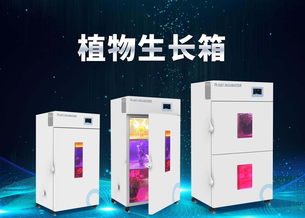 重庆时时开彩官方网站-时时采彩计划软件-重庆时时开彩官网开奖查询-重庆时时开彩app下载-重庆时时采彩开奖号码走势图-重庆时时投注平台官网植物生长箱 重庆时时开彩官方网站-时时采彩计划软件-重庆时时开彩官网开奖查询-重庆时时开彩app下载-重庆时时采彩开奖号码走势图-重庆时时投注平台官网植物生长箱