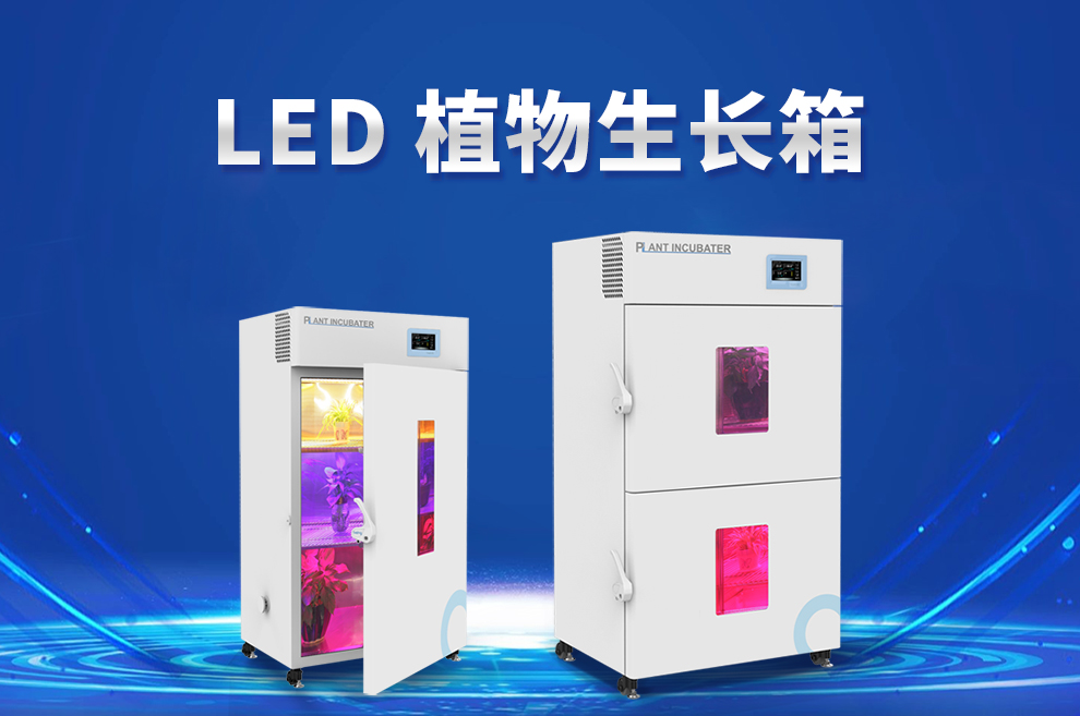 重庆时时开彩官方网站-时时采彩计划软件-重庆时时开彩官网开奖查询-重庆时时开彩app下载-重庆时时采彩开奖号码走势图-重庆时时投注平台官网 植物培养箱 重庆时时开彩官方网站-时时采彩计划软件-重庆时时开彩官网开奖查询-重庆时时开彩app下载-重庆时时采彩开奖号码走势图-重庆时时投注平台官网 植物培养箱