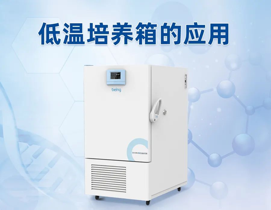 低温培养箱 低温培养箱