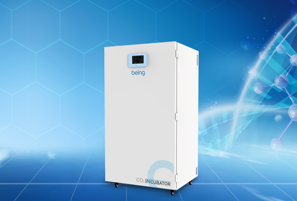 重庆时时开彩官方网站-时时采彩计划软件-重庆时时开彩官网开奖查询-重庆时时开彩app下载-重庆时时采彩开奖号码走势图-重庆时时投注平台官网大型二氧化碳培养箱