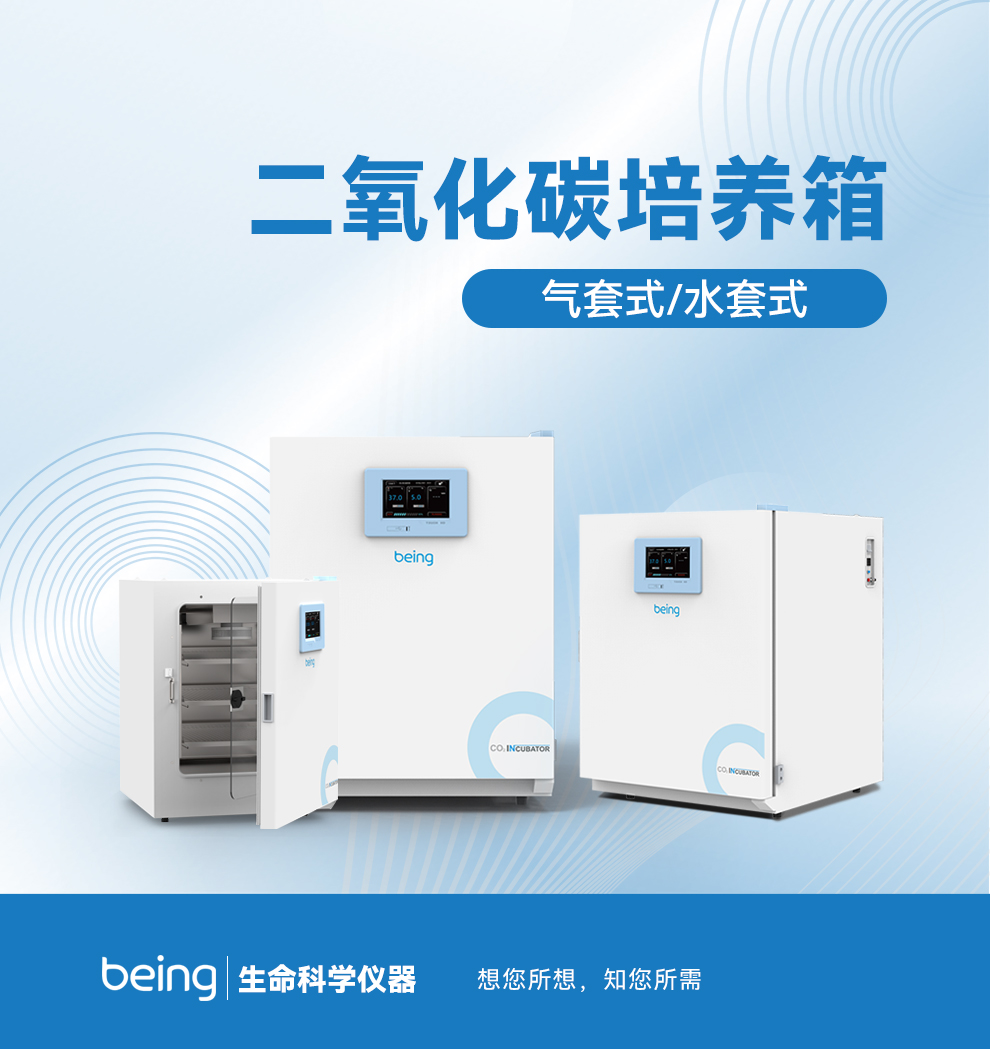 重庆时时开彩官方网站-时时采彩计划软件-重庆时时开彩官网开奖查询-重庆时时开彩app下载-重庆时时采彩开奖号码走势图-重庆时时投注平台官网CO2培养箱 重庆时时开彩官方网站-时时采彩计划软件-重庆时时开彩官网开奖查询-重庆时时开彩app下载-重庆时时采彩开奖号码走势图-重庆时时投注平台官网CO2培养箱