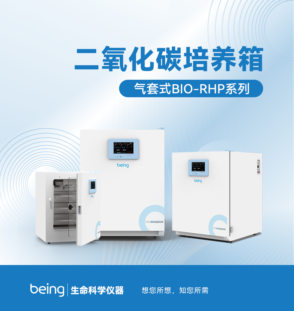 重庆时时开彩官方网站-时时采彩计划软件-重庆时时开彩官网开奖查询-重庆时时开彩app下载-重庆时时采彩开奖号码走势图-重庆时时投注平台官网二氧化碳培养箱 重庆时时开彩官方网站-时时采彩计划软件-重庆时时开彩官网开奖查询-重庆时时开彩app下载-重庆时时采彩开奖号码走势图-重庆时时投注平台官网二氧化碳培养箱